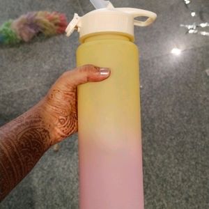 Water Bottle Sipper