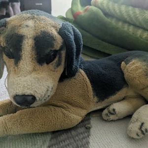 Dog Soft Toy For Kids