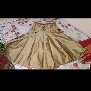 Woman Ethnic Golden Skirt With Kurta Dress