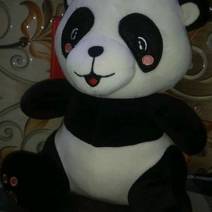 Cute Panda