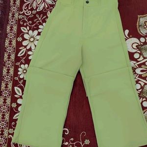 Regular Fit Green Trousers
