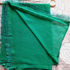 Beautiful Sea Green Handloom Chiffon Dupatta