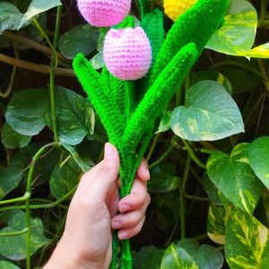 Blooming Crochet Tulips🌷