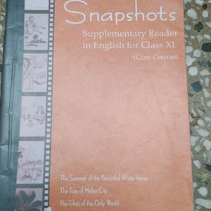 CLASS 11 ENGLISH SNAPSHOTS