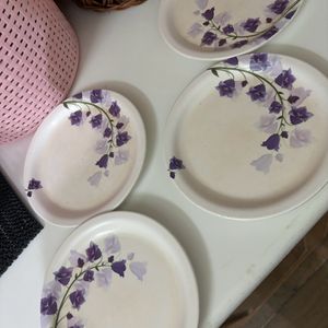 Plates Bowl Set