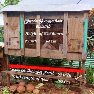 2 In 1 Bird Nest இரண்டு குருவிக்கூடுகள்