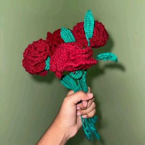 Carnation Flowers With Leaf Stem