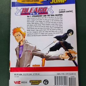 Bleach manga vol 1