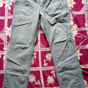 Cargo Pant