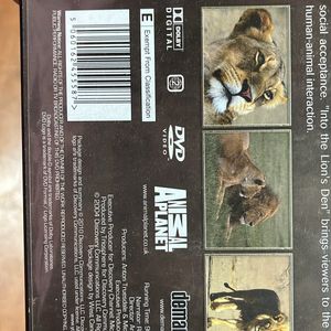 Original Animal Planet Big Cats DVD