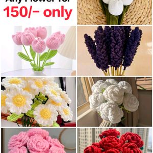 Sale 🚨 Any 1 Piece Flower For 150/- Only