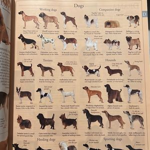 Selling Illustrated Family Encyclopedia