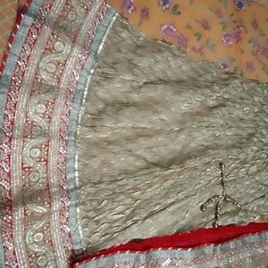 Bridal Lahnga Tissue And Gorgette Fabric