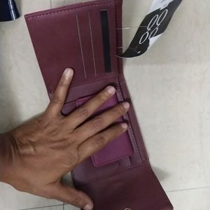 Baggit Small Wallet