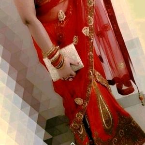 Lehnga Choli For Females