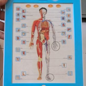 Mitashi - Skykidz Human Anatomy Learning Pad