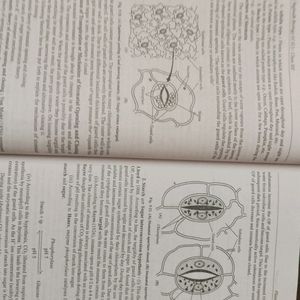 Biology Book