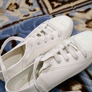 ZUDIO WHITE SNEAKER (UK 6.5)