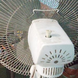 Table Fan