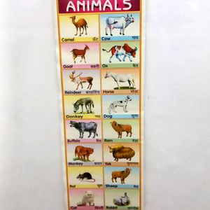 Learning Charts For Kids