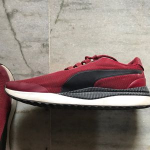 Puma Original Shoes