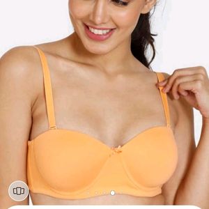 34C Strapless Padded Bra (Wired)