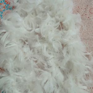 Feather Boas White #bachelorette #prom #party