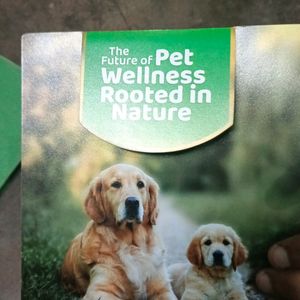 The Future Of Pet Wellness Rppted In Nature