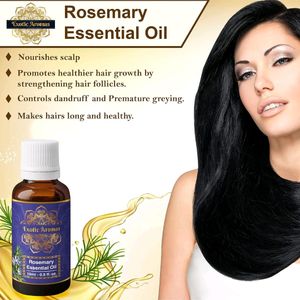 10ml Rosemary Essential Aroma Oil