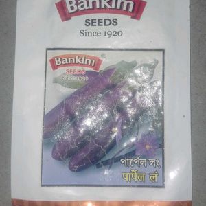 Long Violet Brinjal Seeds ( 2000 seed Per Packet