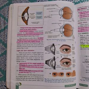 ICSE SELINA CONCISE BIOLOGY FOR CLASS 10 TEXTBOOK