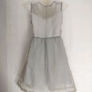 Mini Net Cute Frock Dress