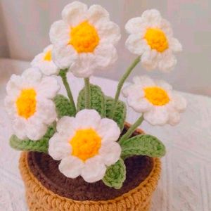 Crochet Flower Pot( 6 Flowe)