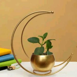 Moon Shape Golden Iron Planter(10 Inch) Pack Of 2