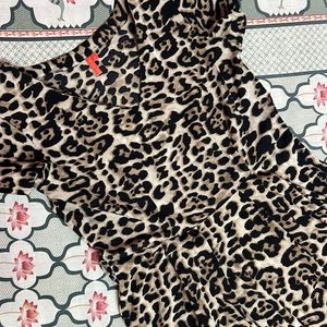 Leopard Print Flared Dress