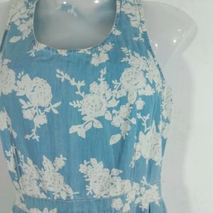 Blue And White Dress (Women's)