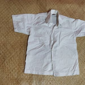 Croped Shirt