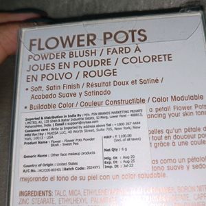 Flower Beauty Pots2