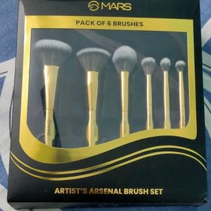 Premium Quality Makeup Brushes Set Of 6