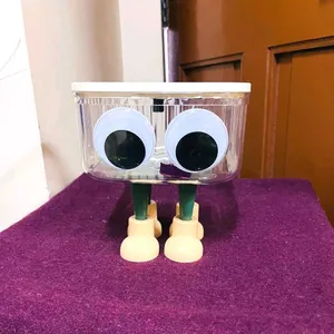 Googly Eyed Portable & Removable Desktop Bin