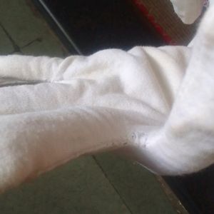 White Cotton Hand Gloves