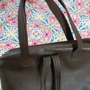 Baggit Womens Cabinet Handbag