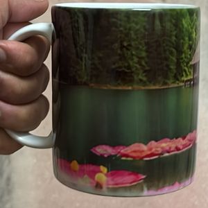 Coffee / Tea mug