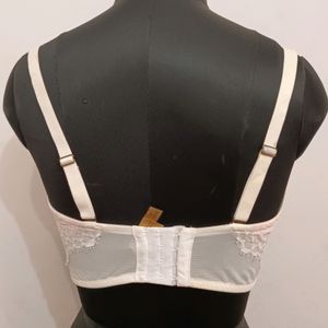 Padded Bra...36D