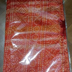 Organza Chundar Or Bandej Saree