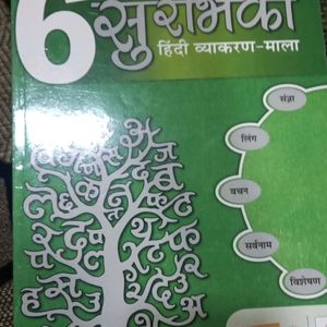 Class 6 Surbhika Hindi Book, Vyakran Book