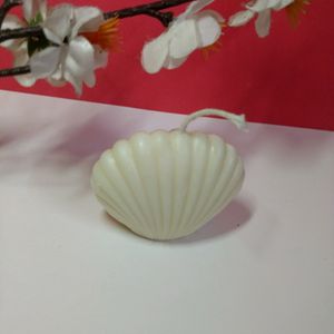 Scented Shell Candles made from Soy Wax