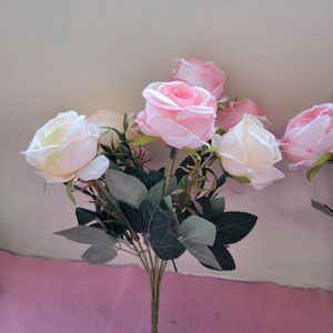 Light Pink Roses