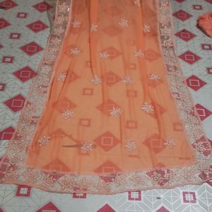 Beautiful Saree Coral Colour With Blause