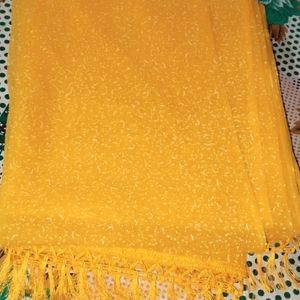 Yellow Net Saree